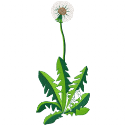 Flowers And Tree Embroidery Design 5